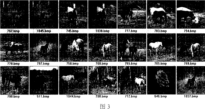 Image searching method based on important bit-plane