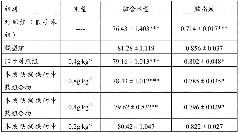 A kind of traditional Chinese medicine composition and preparation method thereof