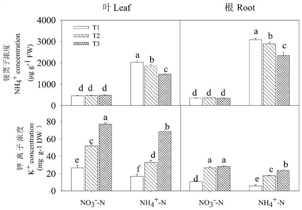 Method for relieving inhibition of high-concentration ammonium nitrogen in soil on growth of wheat at seedling stage