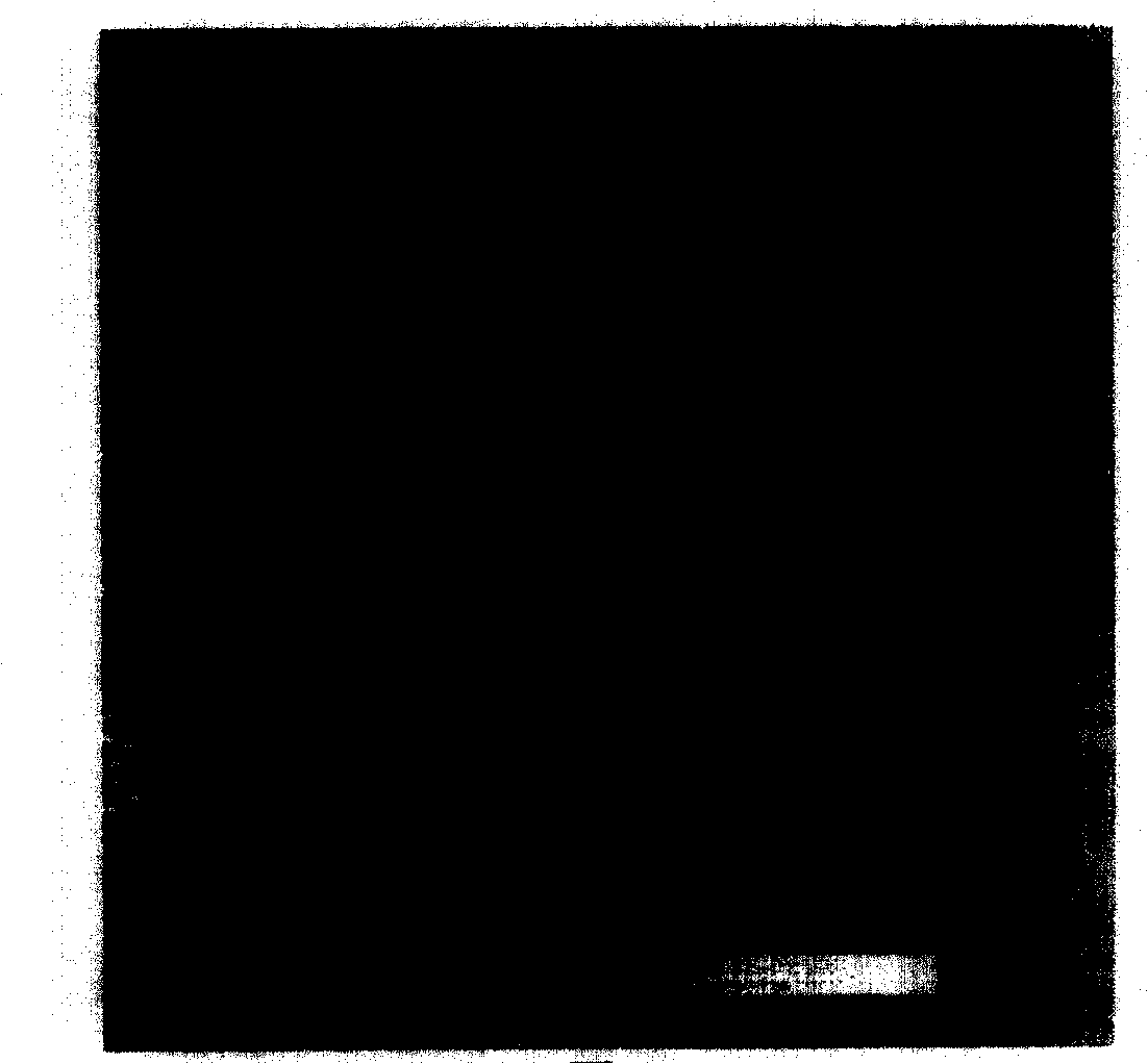 Organic electroluminescence device