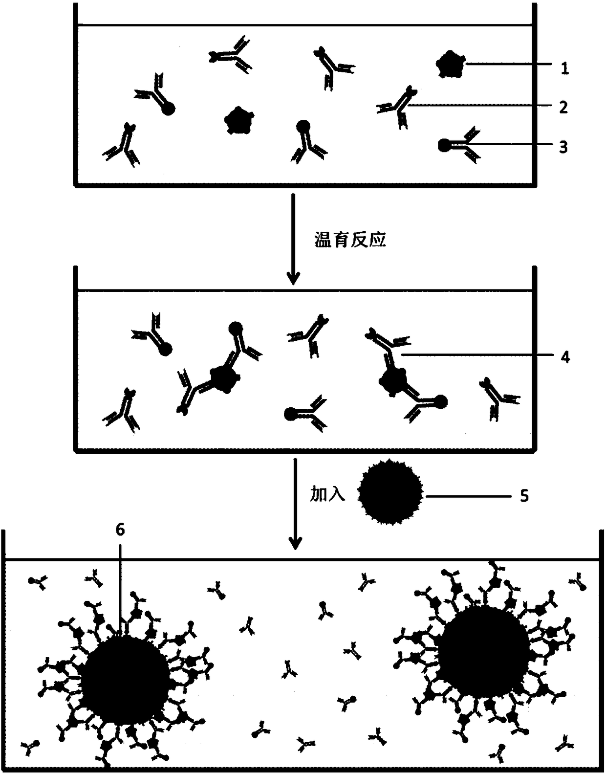 Immunoreaction double-pulse detection method based on mass spectrographic analysis technology