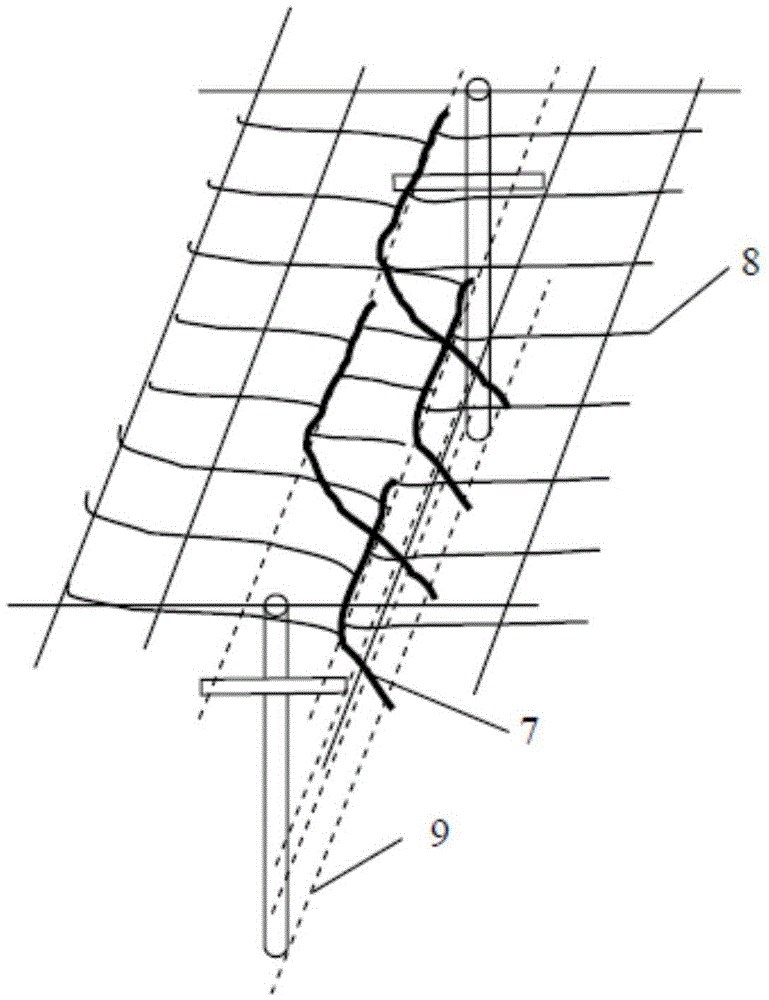 Dual-parallelism grape canopy frame and grape cultivation method suitable for soil-burying cold-proof area