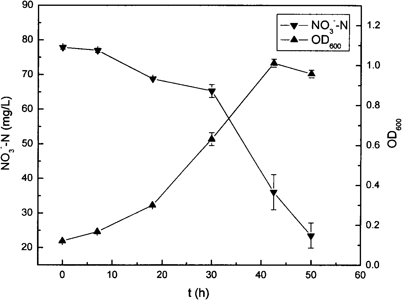 Pseudomonas sp. strain for biological denitrification under low temperature and application thereof