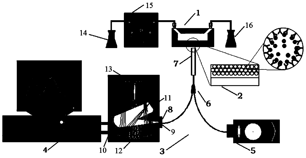 Biodetector based on interference effect of ordered porous nanostructured thin film and method for detecting biomolecules