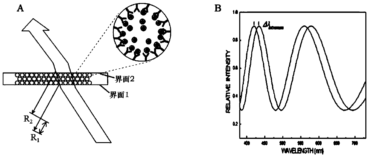 Biodetector based on interference effect of ordered porous nanostructured thin film and method for detecting biomolecules