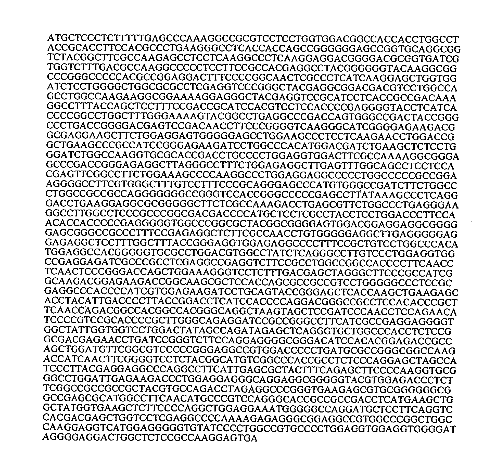 DNA polymerase