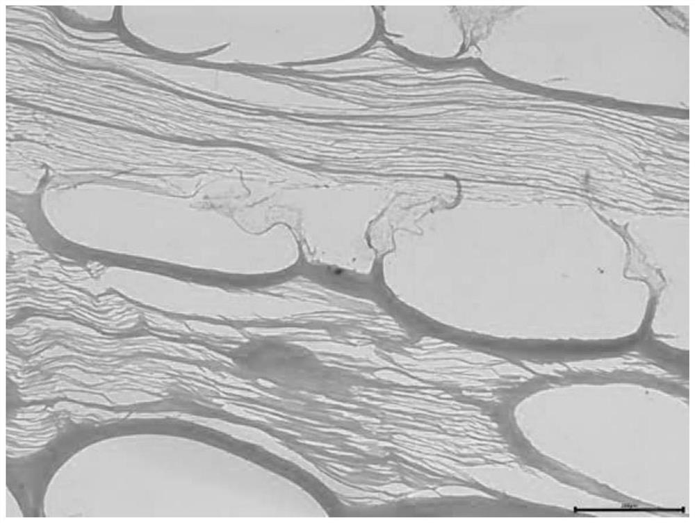 A kind of acellular biomaterial, preparation method and application thereof