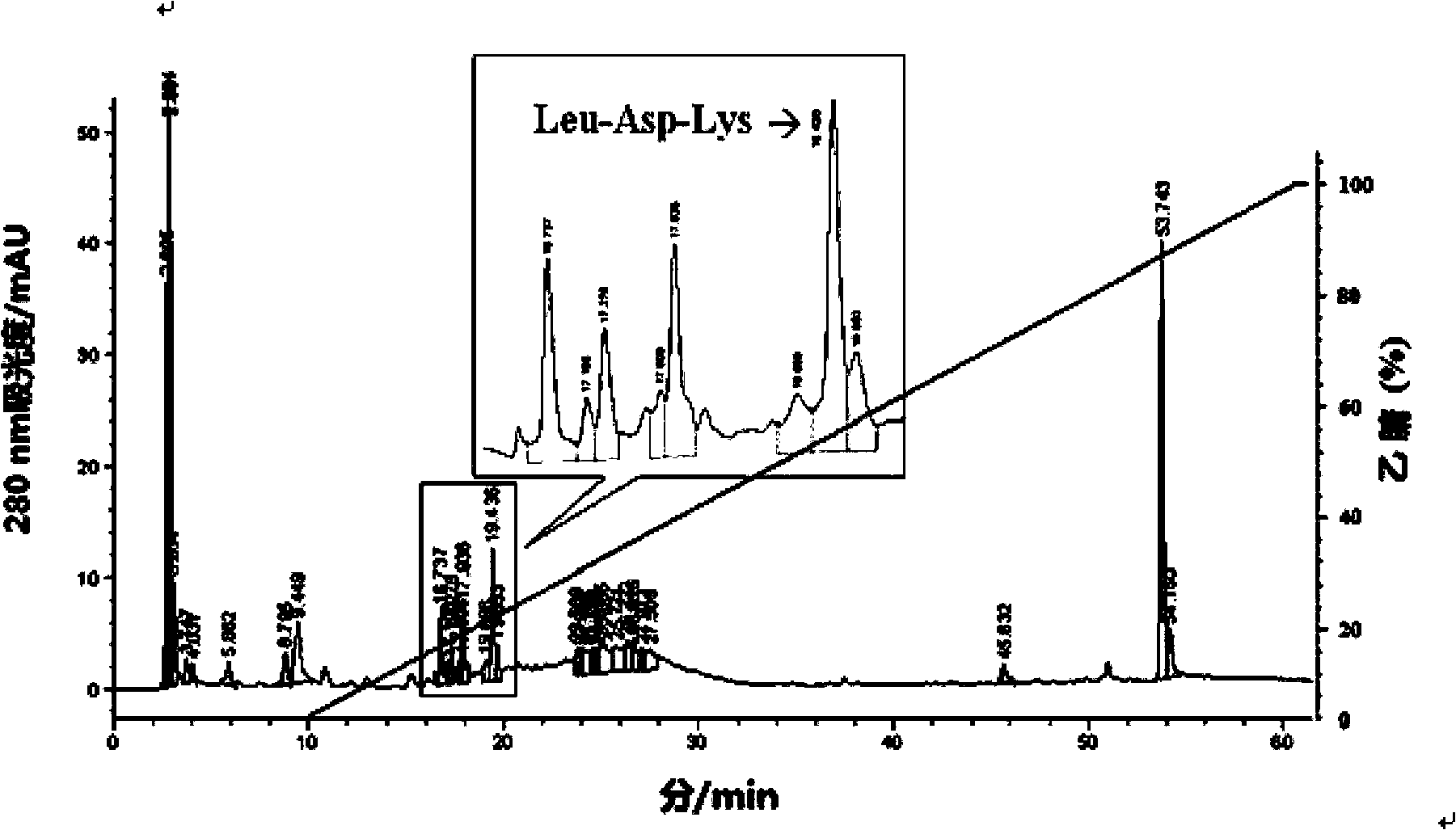 Antioxidative peptide of shark protein as well as preparation method and use thereof