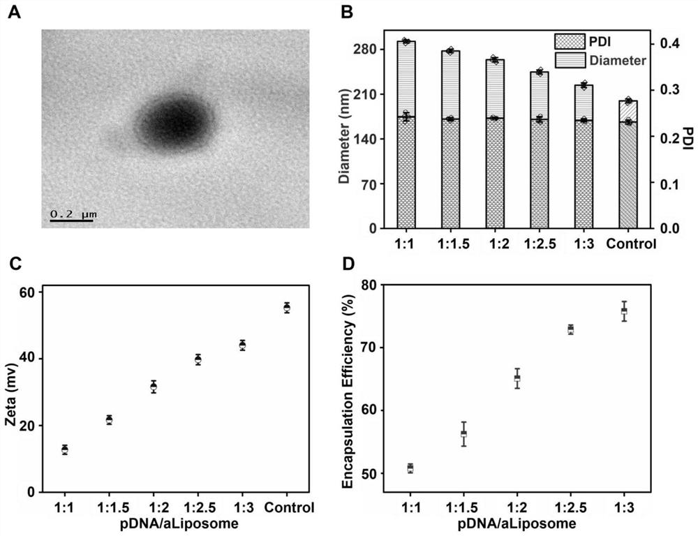 A preparation method of microenvironment-responsive immune regulation promoting nerve regeneration micro-nanofibers