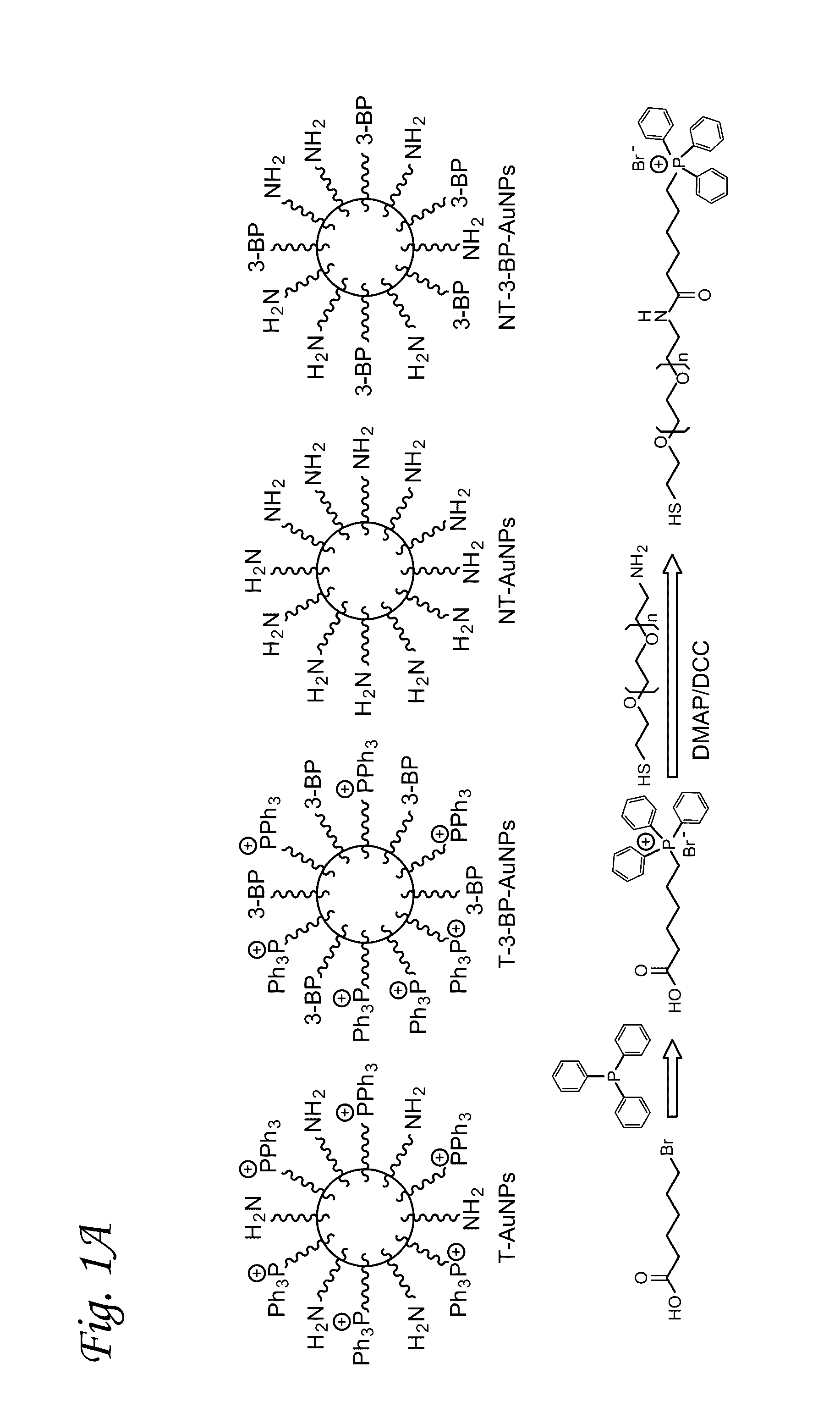 Mitochondrial delivery of 3-bromopyruvate