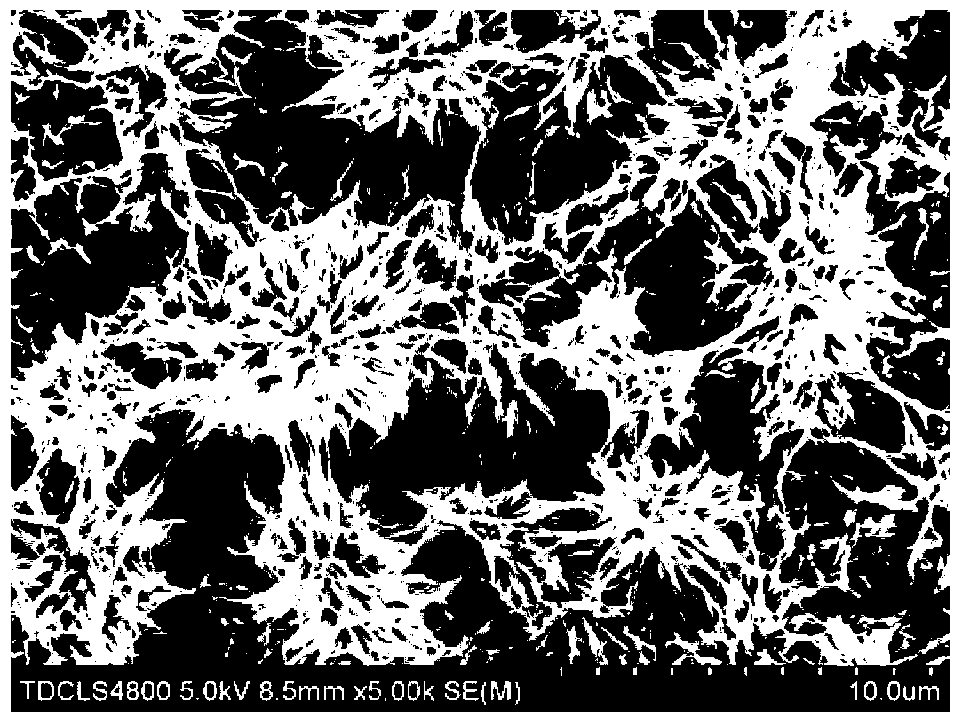 Preparation method for ethanol gas sensor based on vanadium pentoxide multilevel nanometer network structure