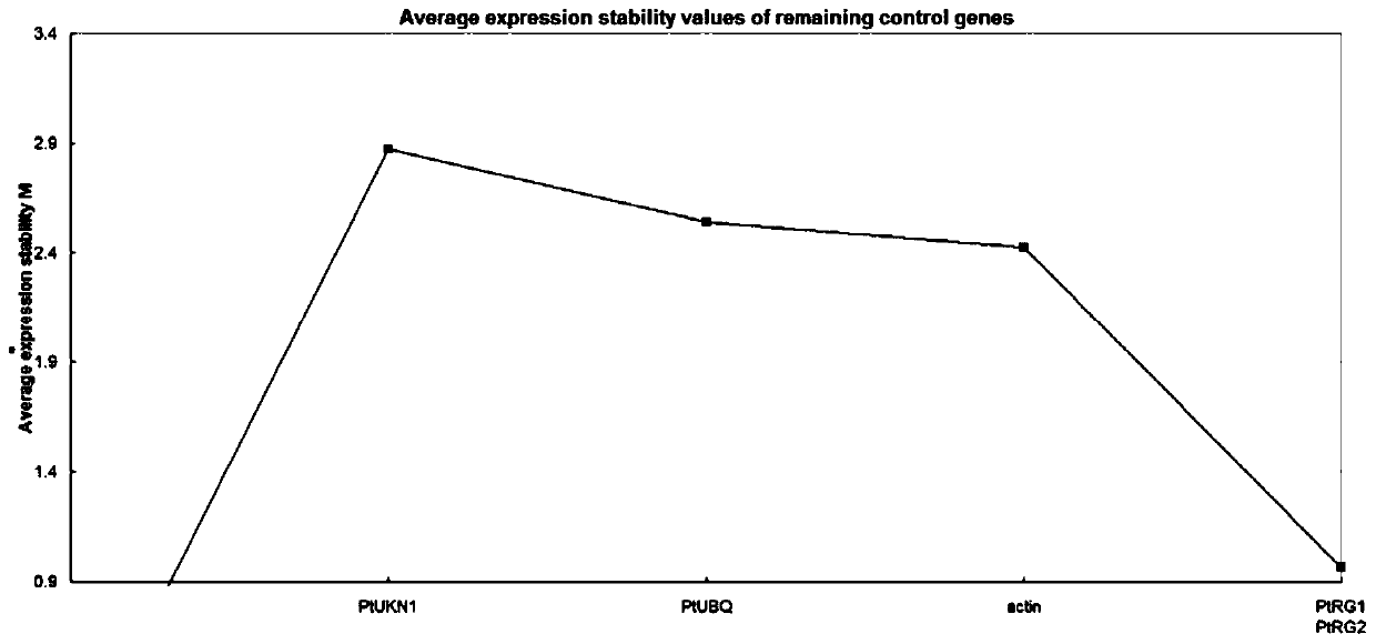 An internal reference gene related to the expression and regulation of stress-resistant genes in poplar and its application