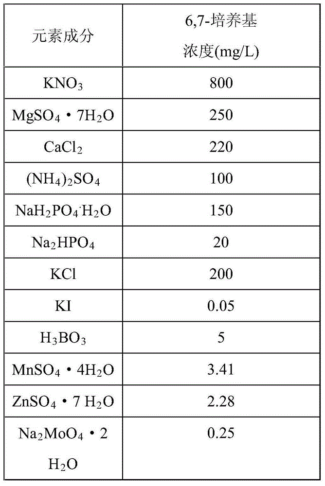 Inducing method capable of promoting danshinolic acid accumulation in hairy salvia miltiorrhiza root