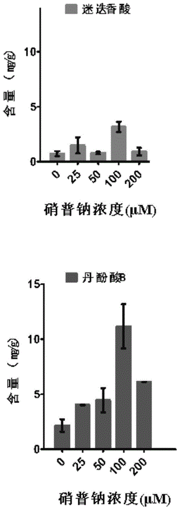 Inducing method capable of promoting danshinolic acid accumulation in hairy salvia miltiorrhiza root