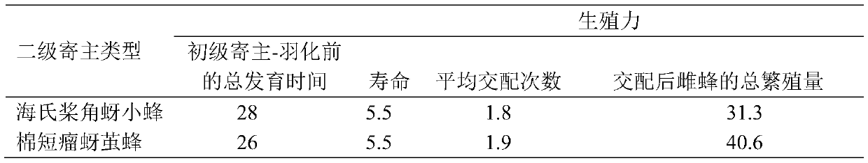 Method for breeding male encarsia sophia by using trioxysrietschel