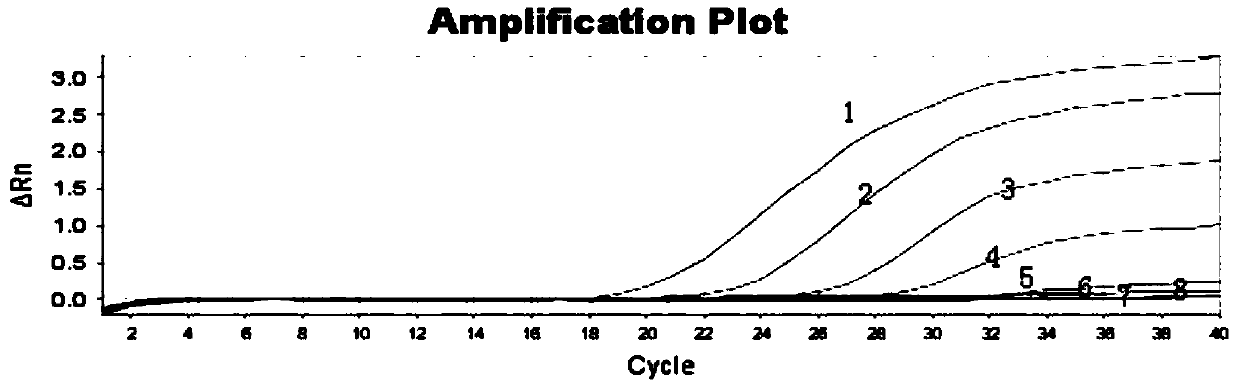 Newcastle disease virus strong and weak one-step real-time fluorescent rt-PCR detection kit