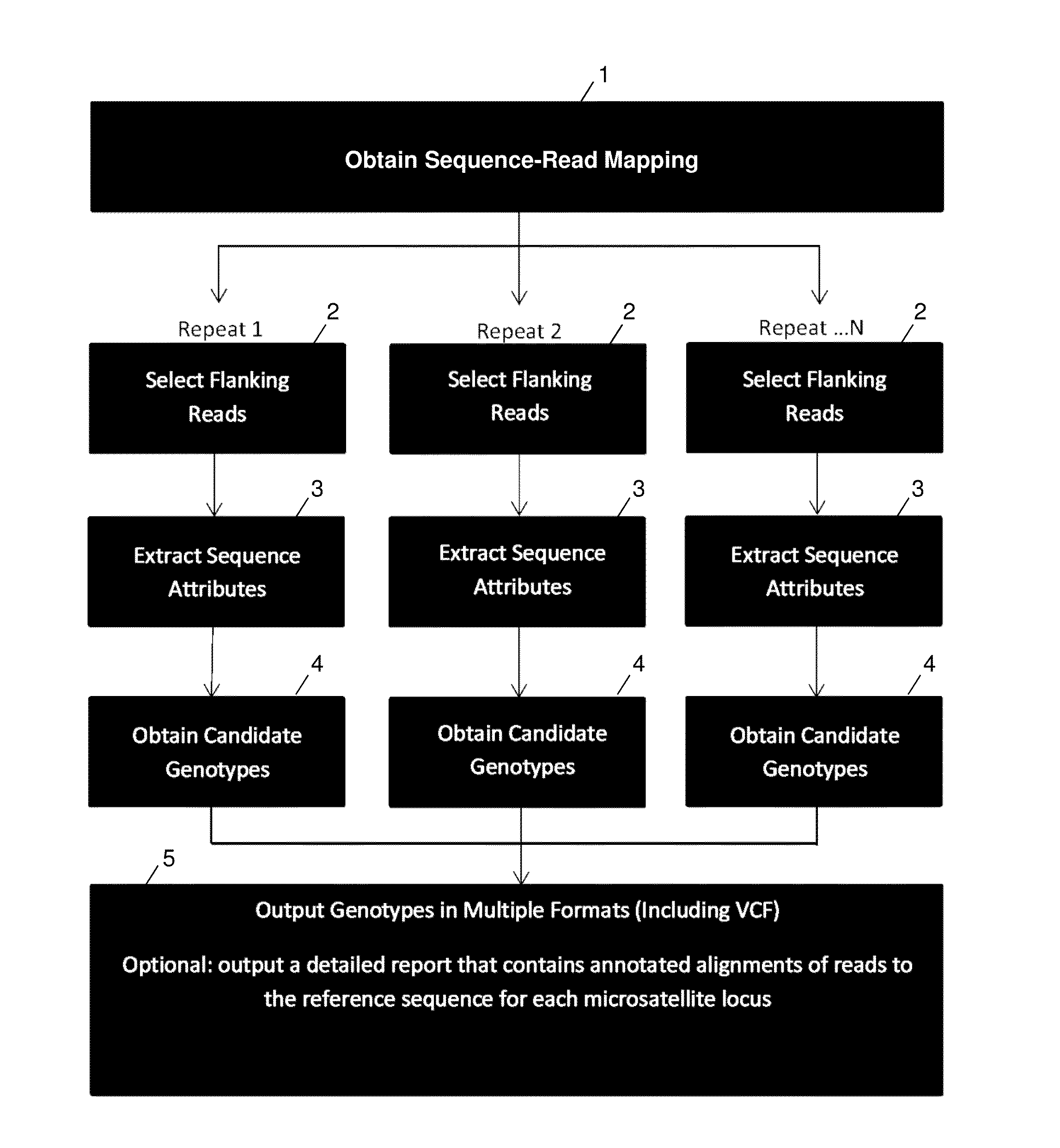 System and method for genotyping using informed error profiles