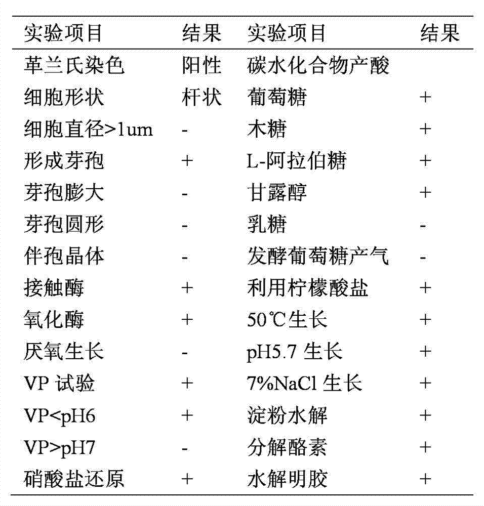 Bacillus subtilis DJ-6 and application thereof in prevention and treatment of grape disease