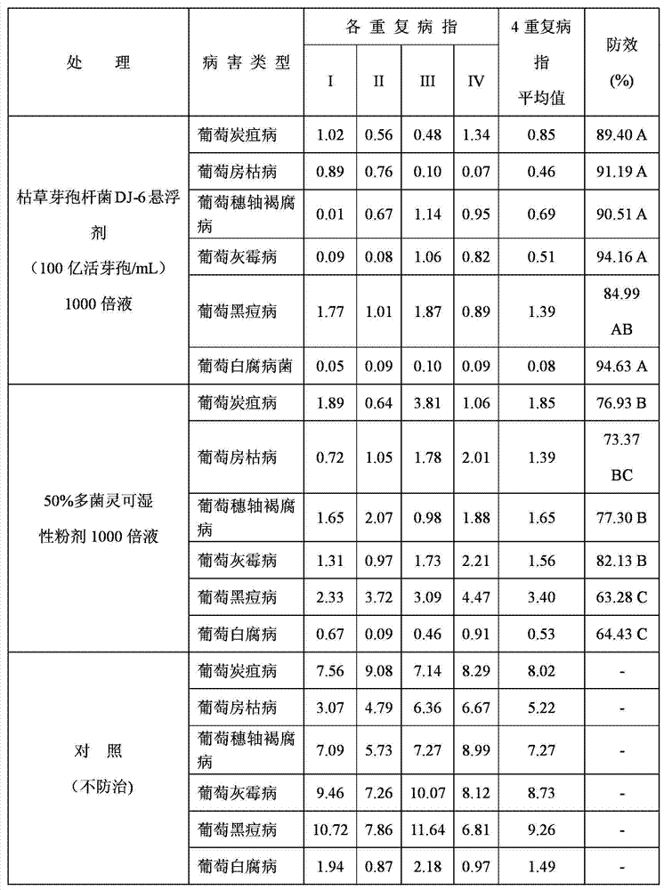 Bacillus subtilis DJ-6 and application thereof in prevention and treatment of grape disease