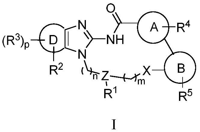 Macrocyclic compound as well as preparation method and application thereof