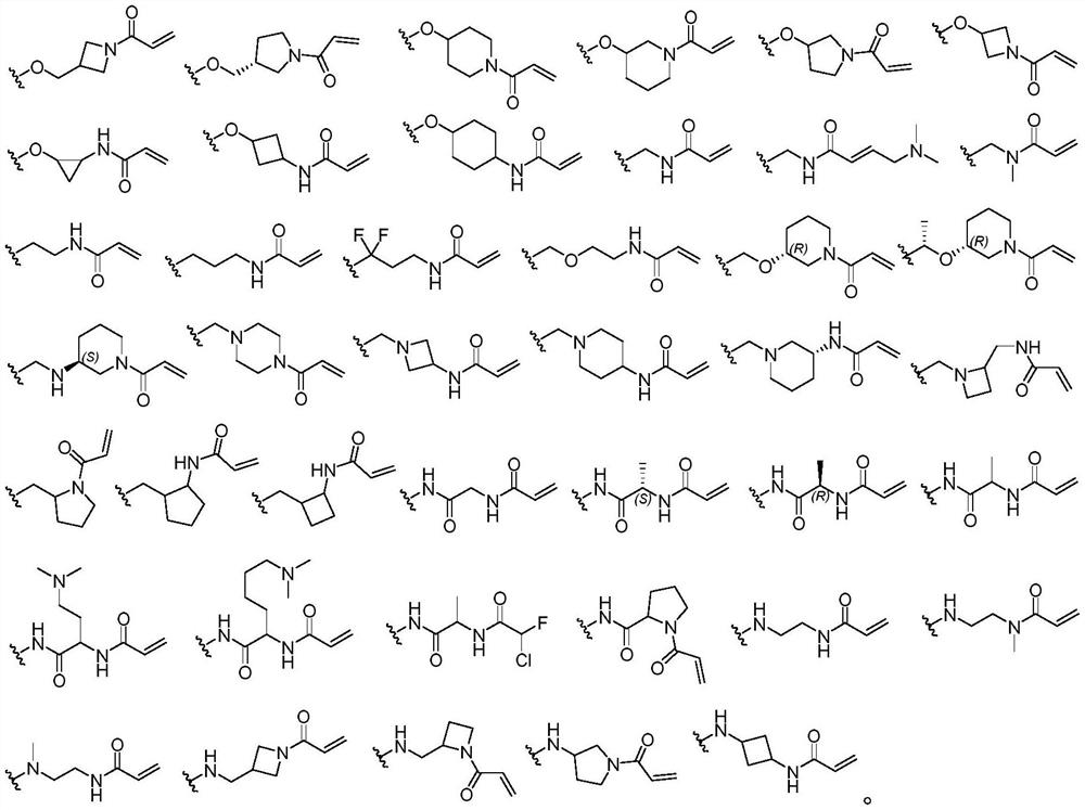 Macrocyclic compound as well as preparation method and application thereof