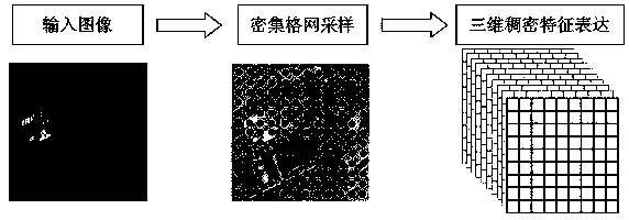 Robust multi-mode remote sensing image matching method and system