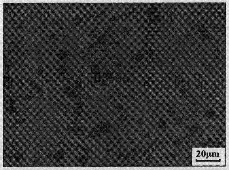 Heat resistant magnesium alloy