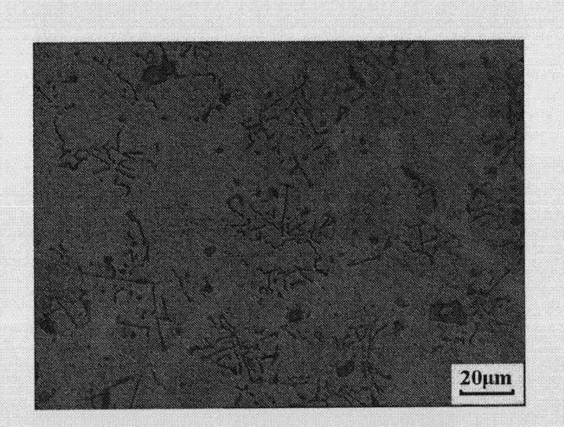 Heat resistant magnesium alloy