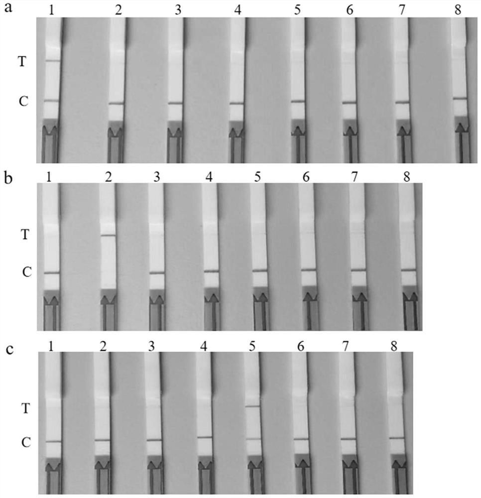 RPA specific primer pair for detecting ALV-A/B/J, crRNA fragment and application thereof