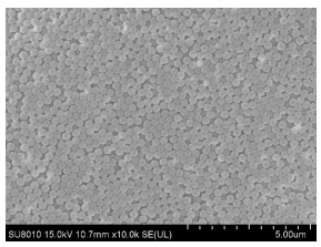 Preparation method of nanometer titanium dioxide artificial antibody shell for identifying and degrading chlorpyrifos