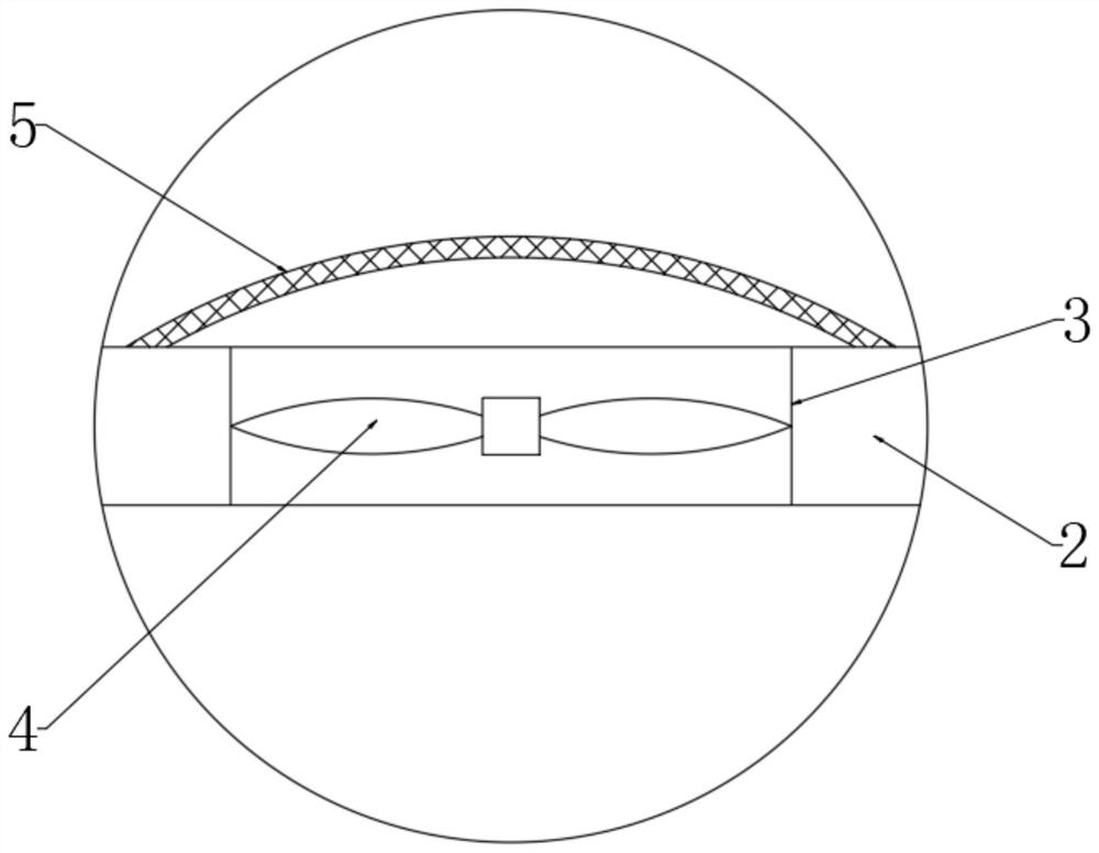 Lake side slope stabilizing and reinforcing device and method based on biological guiding technology