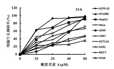 Physalis bitterin a extraction process and its medicinal application