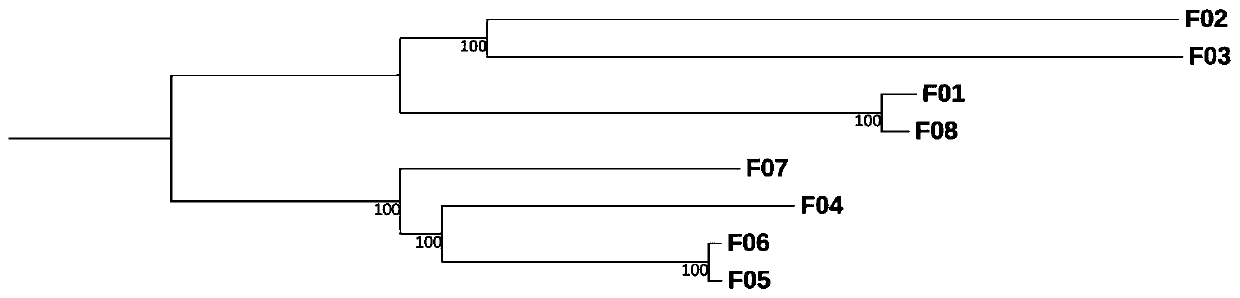 Analysis method for multi-sample-size comparative transcriptomes based on third-generation sequencing detection