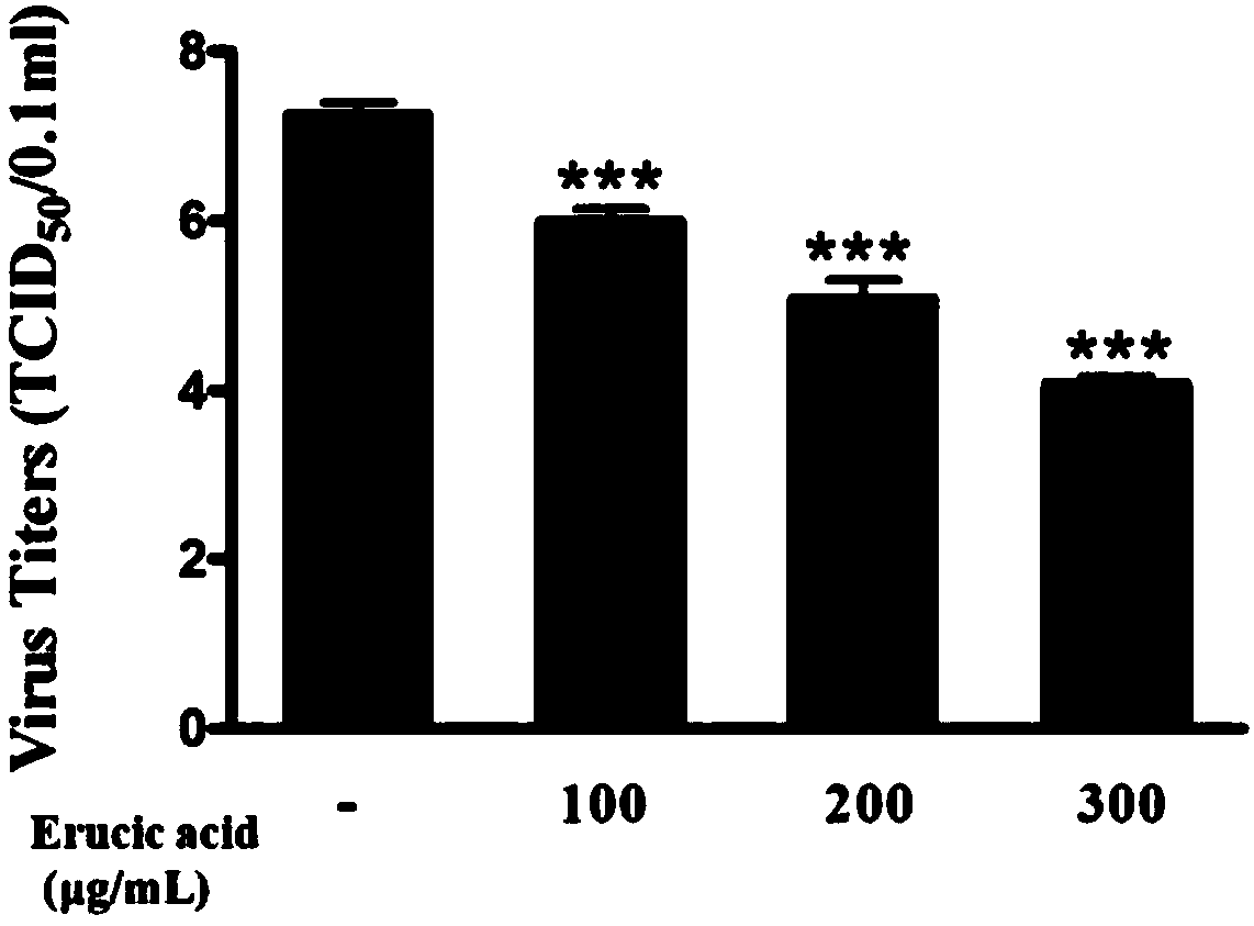 Application of erucic acid in preparing medicine for preventing or treating vaccinum influenzae vivum