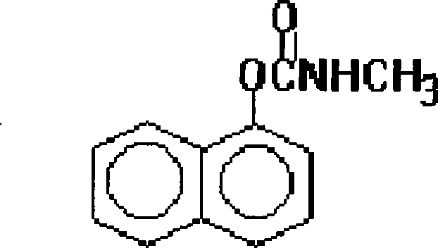 Insecticidal composition containing clothianidin