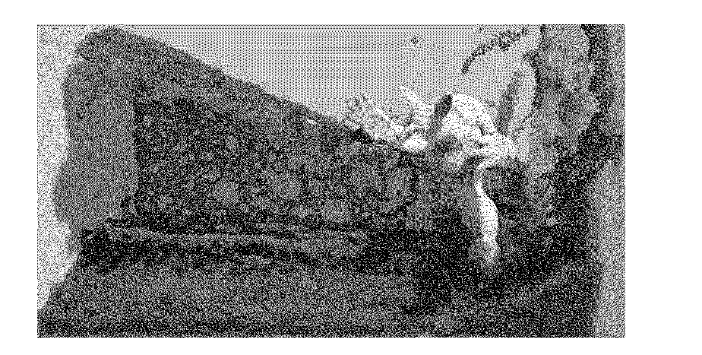 Position based fluid dynamics simulation