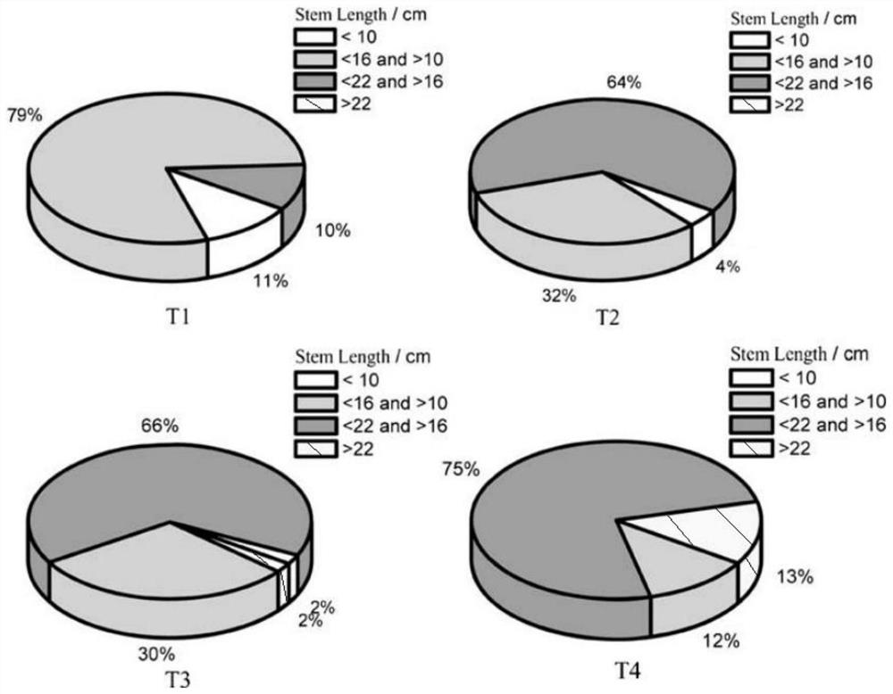 Method for treating high-concentration cadmium pollution through calcium-enhanced microorganism mineralization and combined phytoremediation