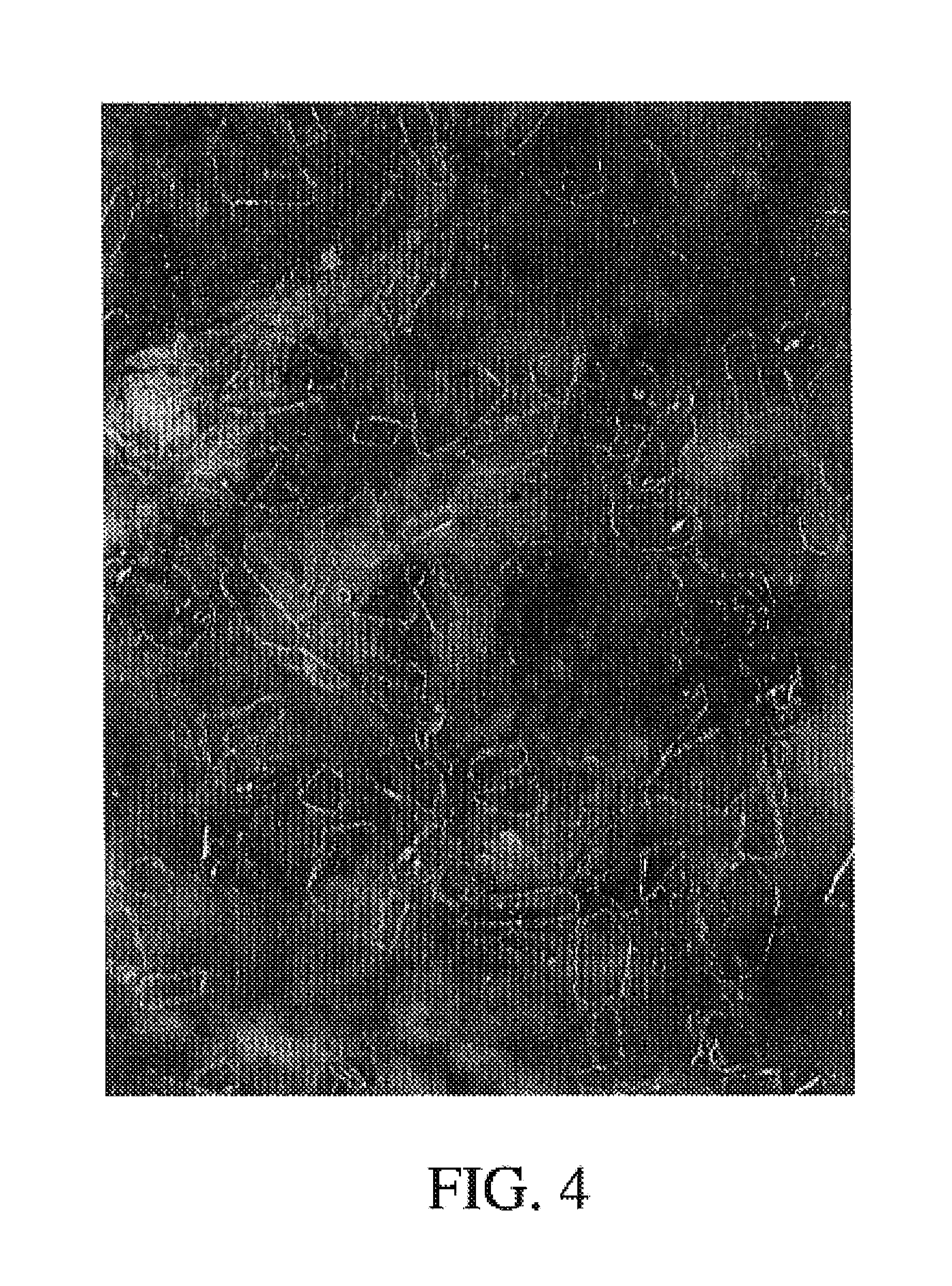 Surface-coated hard material, production method for this, and use of the same