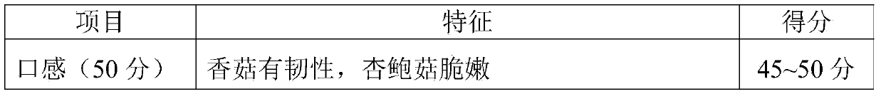 Fermented mushroom product and preparation method thereof