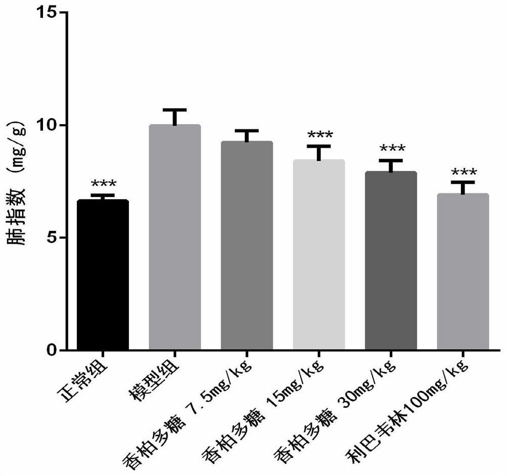 Application of Juniper plant polysaccharide in preparing medicine for preventing and treating viral acute lung injury