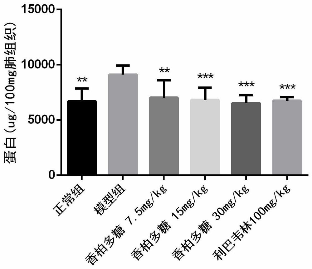 Application of Juniper plant polysaccharide in preparing medicine for preventing and treating viral acute lung injury