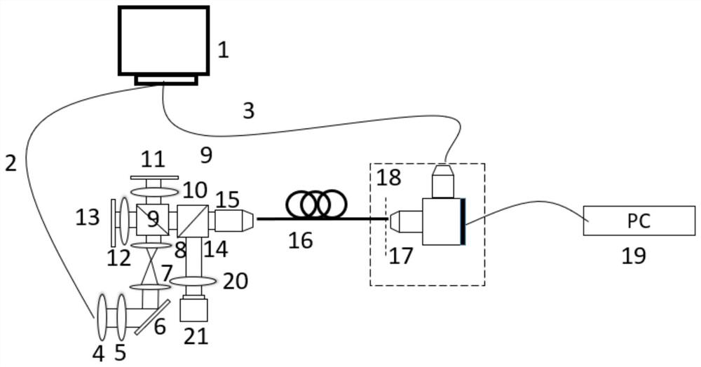 Full-vector modulation single-fiber high-signal-to-noise-ratio three-dimensional imaging method and device