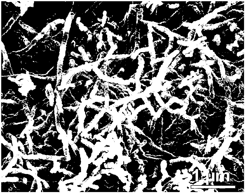 Chiral mesoporous carbon nanometer fiber and preparation method of chiral mesoporous carbon nanometer fiber