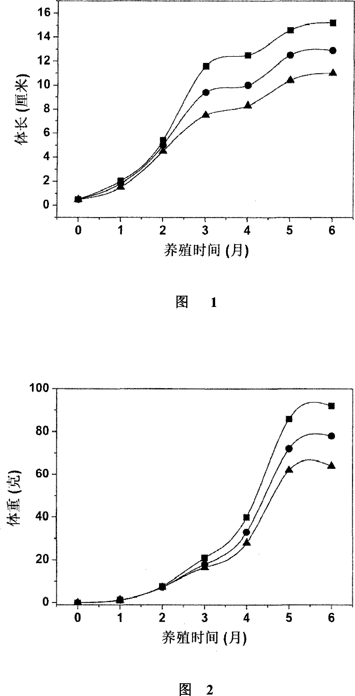 Fugu rubripes breeding method