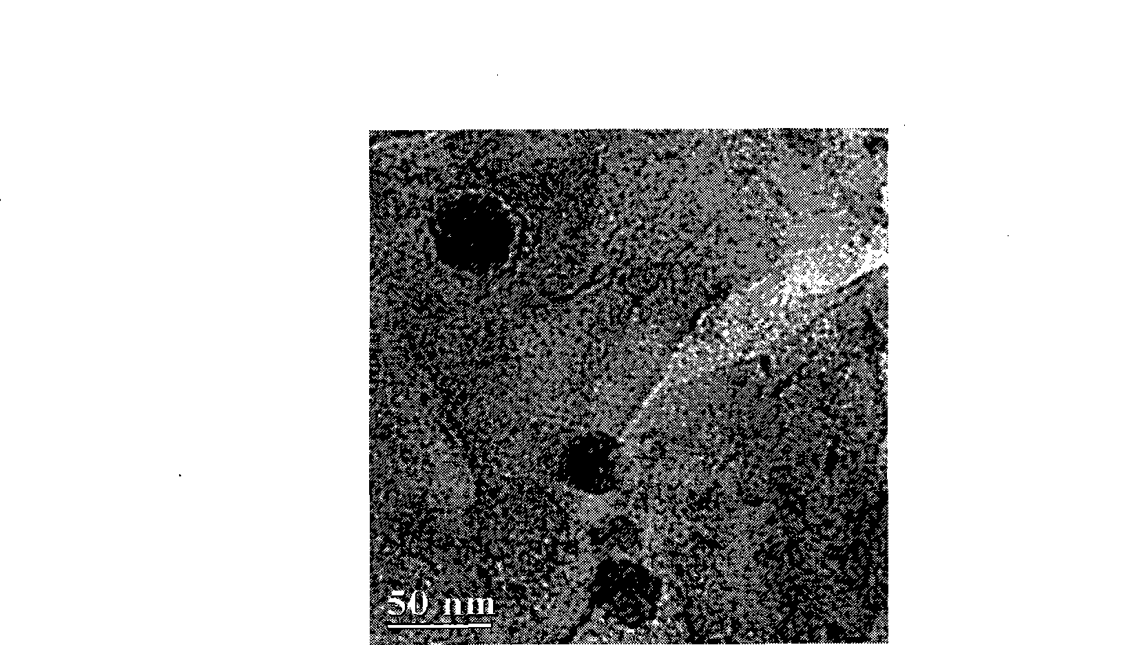 Polyglycol modified antimicrobial peptide and uses thereof