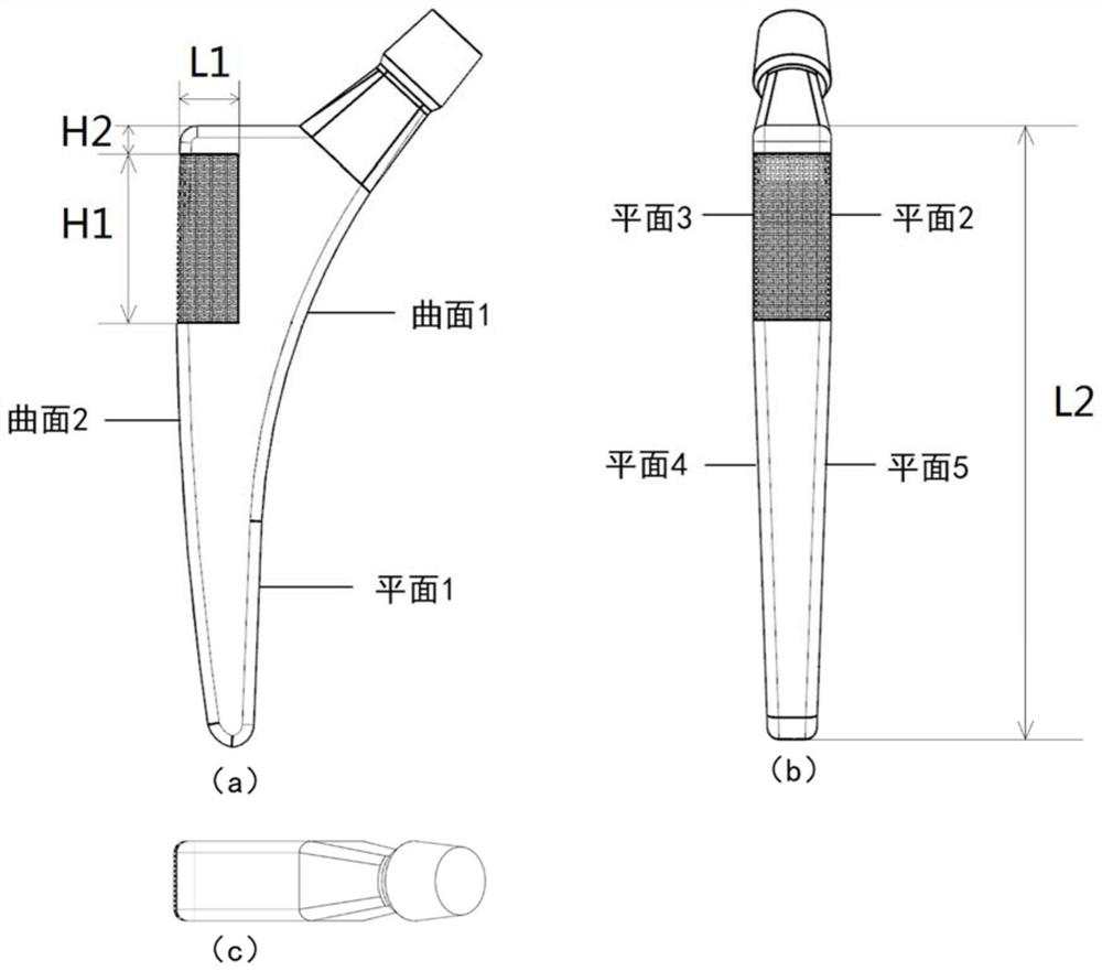 A femoral stem prosthesis