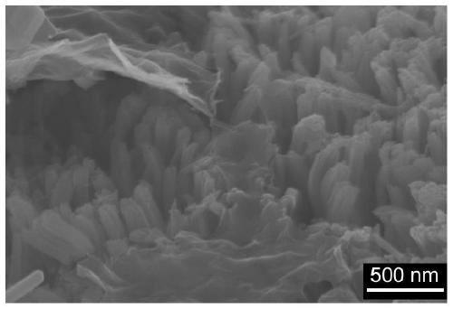 Titanium dioxide loaded nickel ferrite and graphene oxide composite thin film, preparation method thereof, and application of titanium dioxide loaded nickel ferrite and graphene oxide composite thin film to wastewater treatment