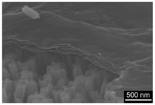 Titanium dioxide loaded nickel ferrite and graphene oxide composite thin film, preparation method thereof, and application of titanium dioxide loaded nickel ferrite and graphene oxide composite thin film to wastewater treatment