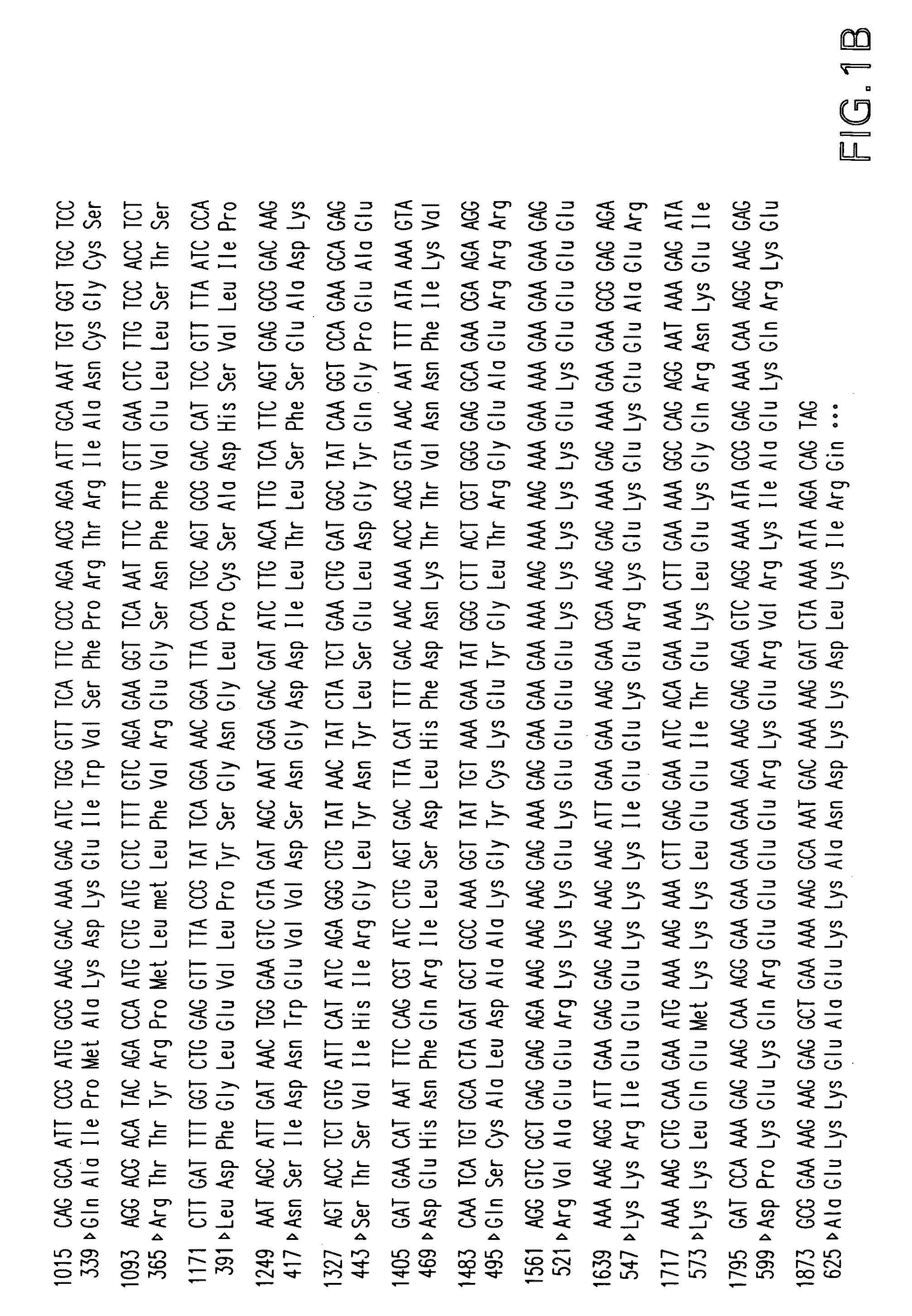 Methods for reducing or eliminating alpha-mannosidase resistant glycans for the production of glycoproteins