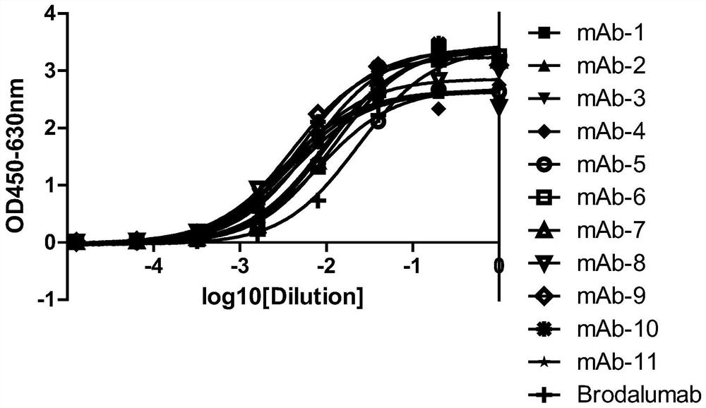 Anti-IL-17RA monoclonal antibody and application thereof